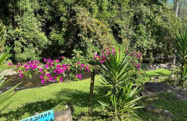 Casa das Palmeiras - Foto 7