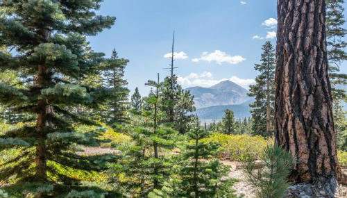 Mountainback 15 - Photo 3