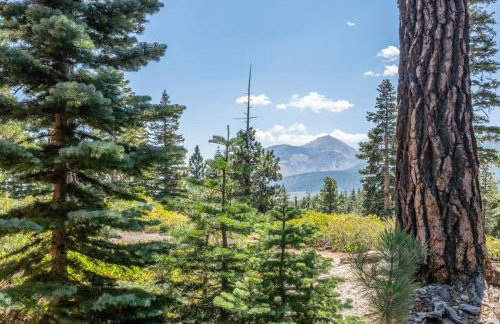 Mountainback 15 - Photo 3