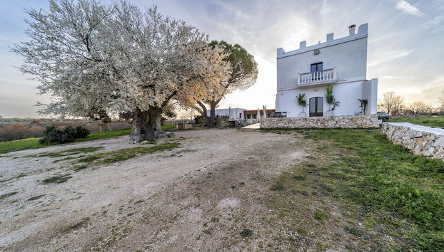 Agriturismo Tenuta del Grillaio - Foto 2, Imagen principal