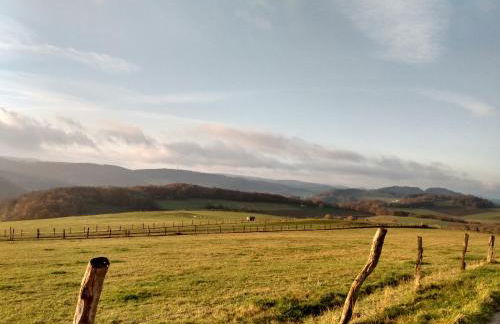 Lavender Hill - Foto 17