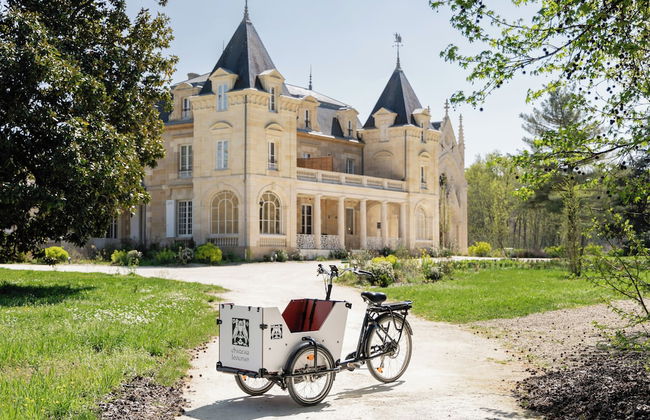 Château Léognan, Domaine viticole - proche Bordeaux - Foto 51