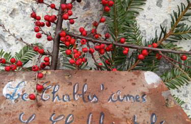 Le Chablis étoilé - Foto 26