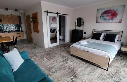 Apartamenty KOŁODZIEJÓWKA - Photo 17