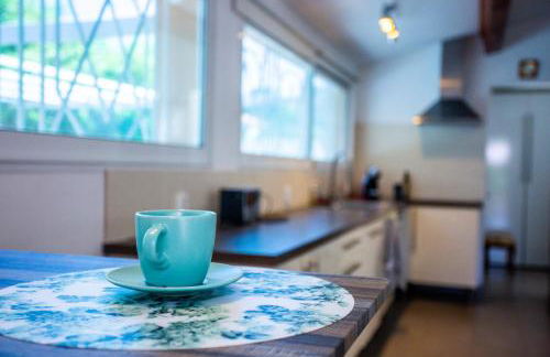 VILLA PROVENCE-SPA&BBQ CENTRE AU CALME- JARDIN - TERRASSES - Foto 18