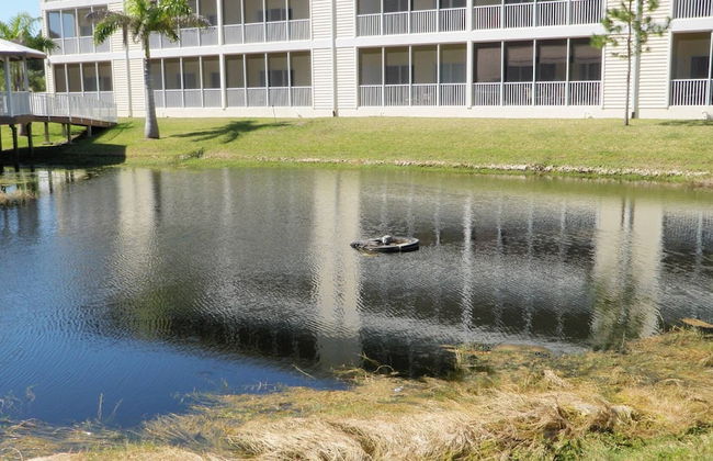 102 Natures way Unit 2303 - Foto 15