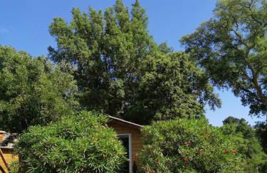 Les chalets de Palavesa - Foto 22