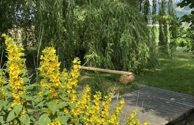 Ferienhaus Oase am Mühlebach - Foto 9