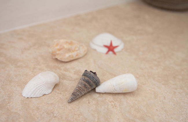 Agriturismo Campo All'Olmo - Foto 48