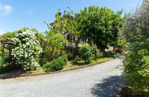 Alba Morus - Photo 24