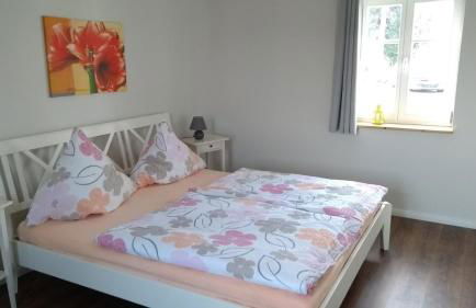 Ferienwohnungen Mühlenhof Oberseifersdorf - Foto 4