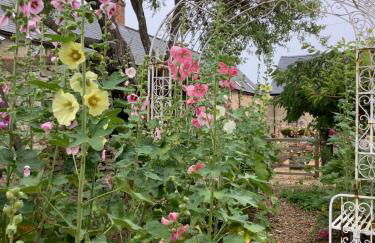 Hollyhock Cottage, Clematis cottages, Stamford - Foto 29