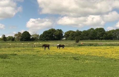 Scotland Lodge Farm, Stonehenge - The Stalls & The Stable Loft - Pets by agreement in the Stable Loft - Foto 22