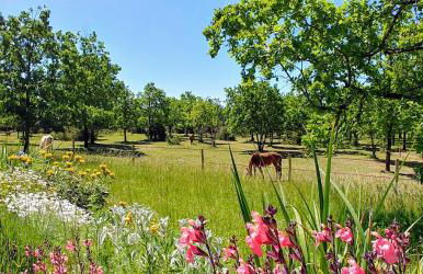 La Vayssade - Grand Gîte de charme - 14 pers - Piscine & Jacuzzi - Photo 14