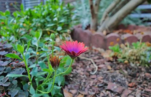 Oak Manor - Chic & Stylish 2BR Apartment Retreat - Photo 58