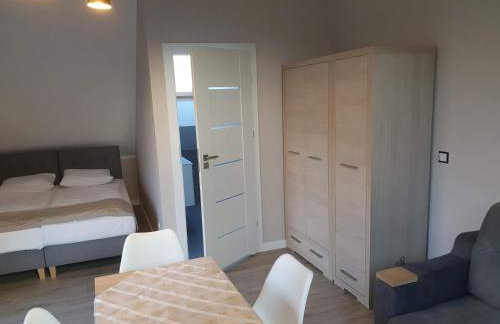 Apartament nad jeziorem WELLE - Photo 37