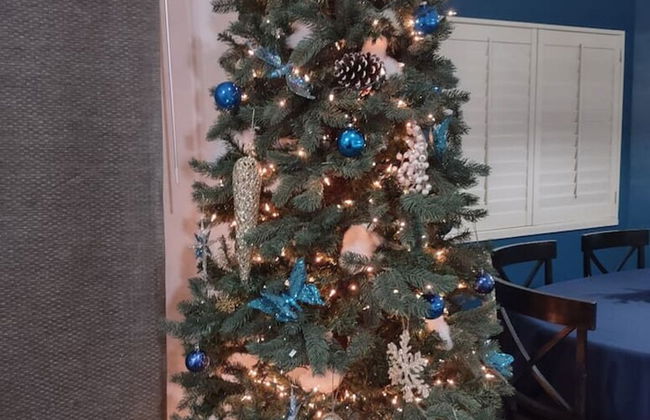 Farmington Gem 6BR Private Fenced Yard Sleeps 15 - Foto 33