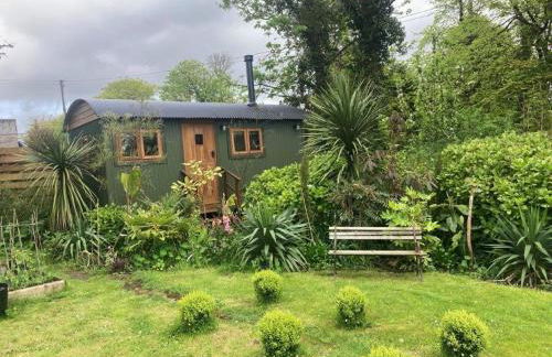Lovely Shepherds hut near St Ives Cornwall - Foto 15
