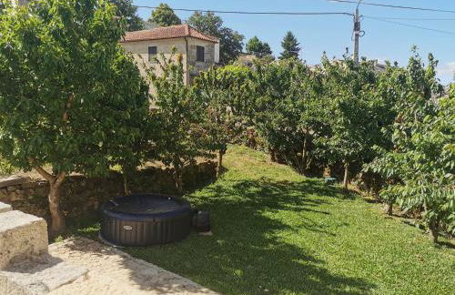 Main house Solar dos Condes da Azenha - Foto 71