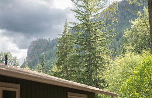 Forest Escape at Wilderness Rim - Foto 29