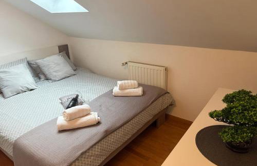 Apartman Jurak - Foto 19