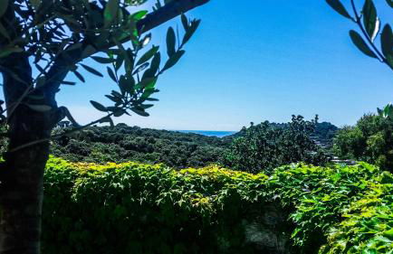 Appartamenti Luongo - Foto 58