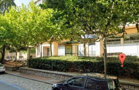 El Cedro Llorón - Foto 6