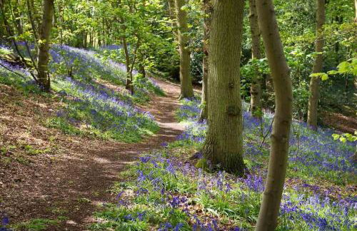 Farm Cottage a cute C17th cottage a walk across the fields to a great pub - Foto 44