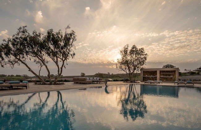 Phaos at Cellaria Estate - Photo 51