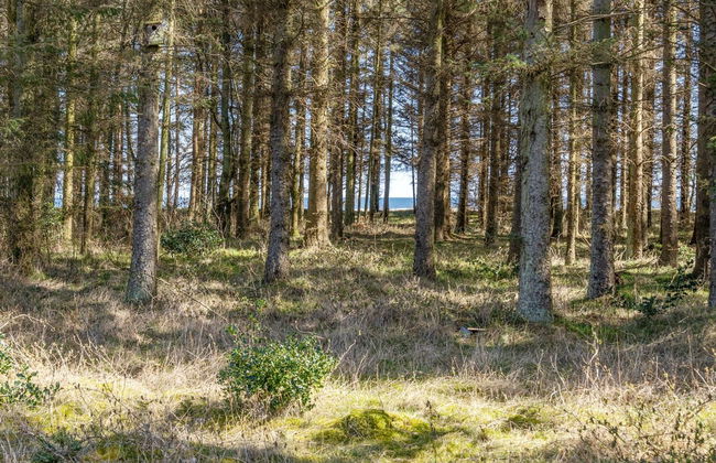 "Mea" - from the sea - Photo 18