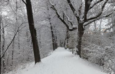 Plose Appartements - Foto 37