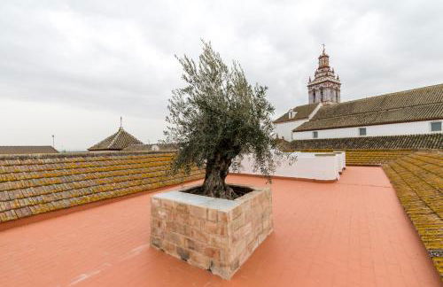 Casa Palacio de la Carrera Olehousing - Foto 22