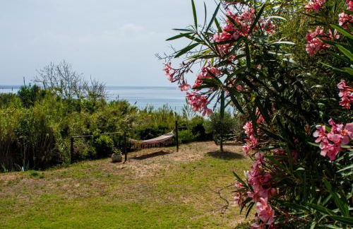 Villa Saline - Foto 64