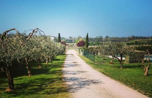 Agriturismo Borgo di Calmasino - Foto 70