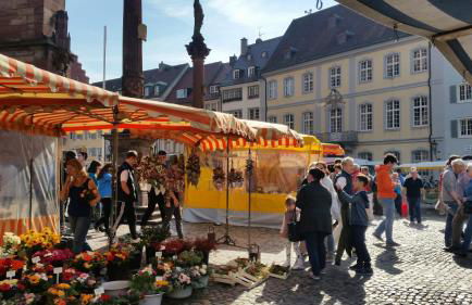 Landhaus-Apartment Feldbergblick - Foto 35