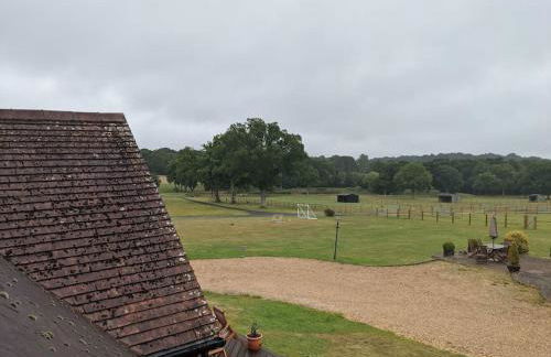 The Barn New Forest Free Paddle boarding & free Zip wire. - Foto 25