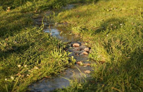 Große Ferienwohnung in Peetzig am See - Foto 36
