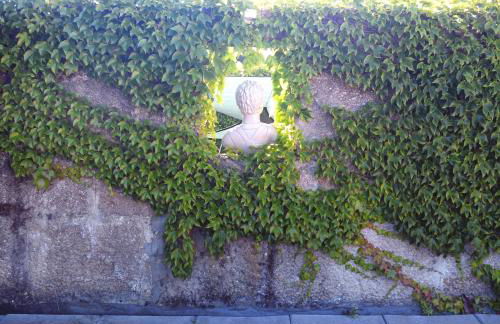 Family Secrets Douro - Foto 42