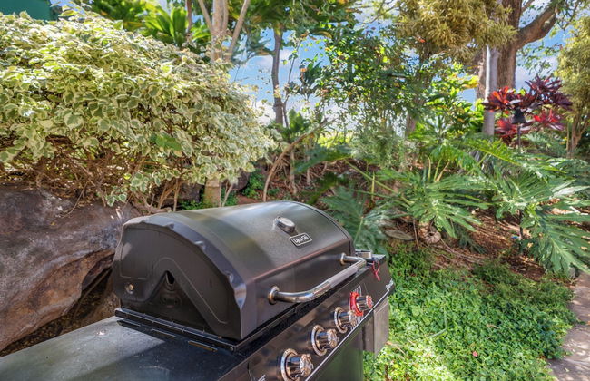 Kahana Falls Maui by VRI Americas - Foto 59