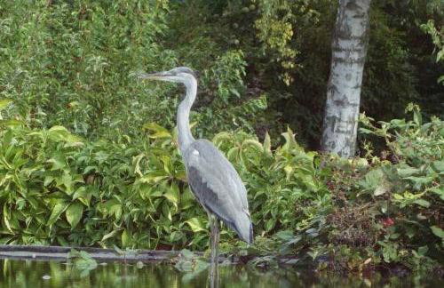 Ostseezauber - Foto 28