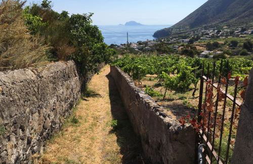 la casa di titti e jack - Foto 53