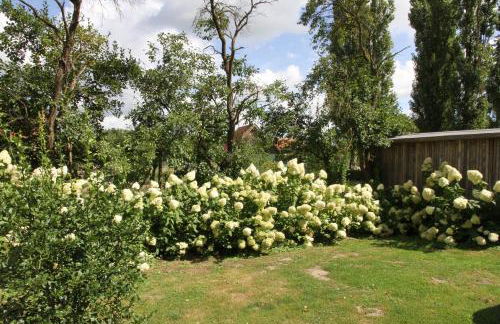 Großzügiges Tiny House - Foto 23