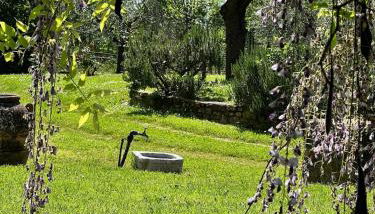 Villa Elena Tuscany - Pool & Garden Arezzo - IHH - Foto 4