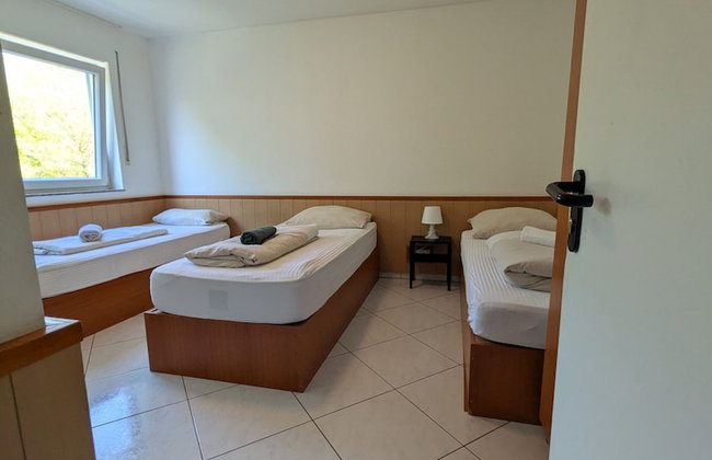 Pension Seckbach - Foto 49