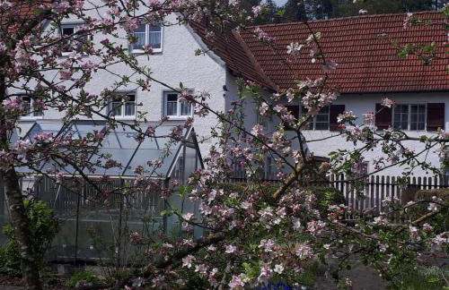 Ferienwohnung Trendelmühle Lautrach - Foto 22