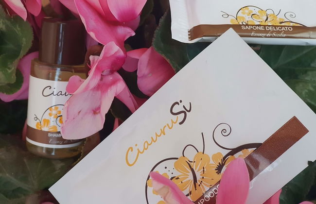 Le Terre di San Domenico - Foto 9