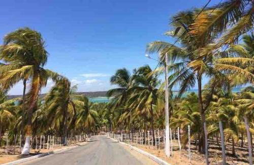 Lindo Apto, á 5 minutos da Praia! Barra de São Miguel-AL - Foto 56