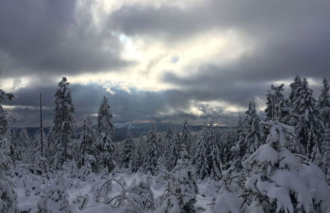 Holiday Apartment Small Building - Foto 9