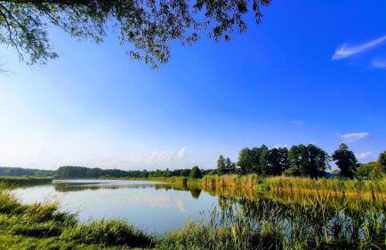 Drewniany Domek w Zakątku Andrzeje Śniczany 18 - Photo 38