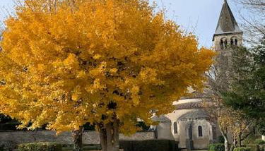 Gite André De Vignory - Foto 4